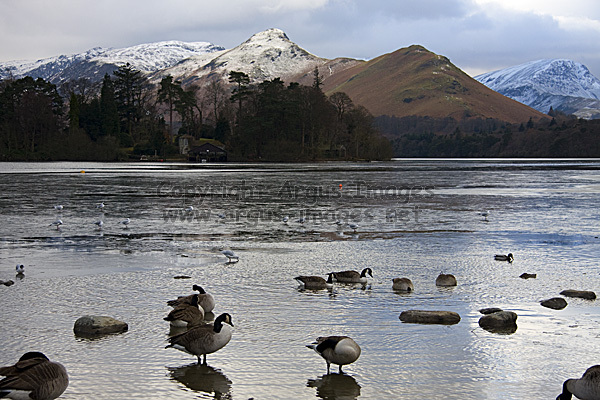 Winter on Derwent Water